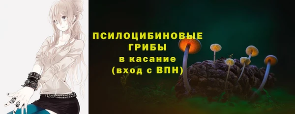 а пвп мука Бородино