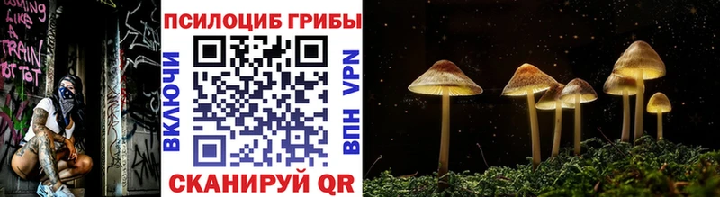 Псилоцибиновые грибы Psilocybe  гидра маркетплейс  Горячий Ключ 
