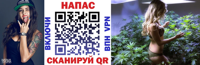 закладка  Горячий Ключ  Конопля ГИДРОПОН 
